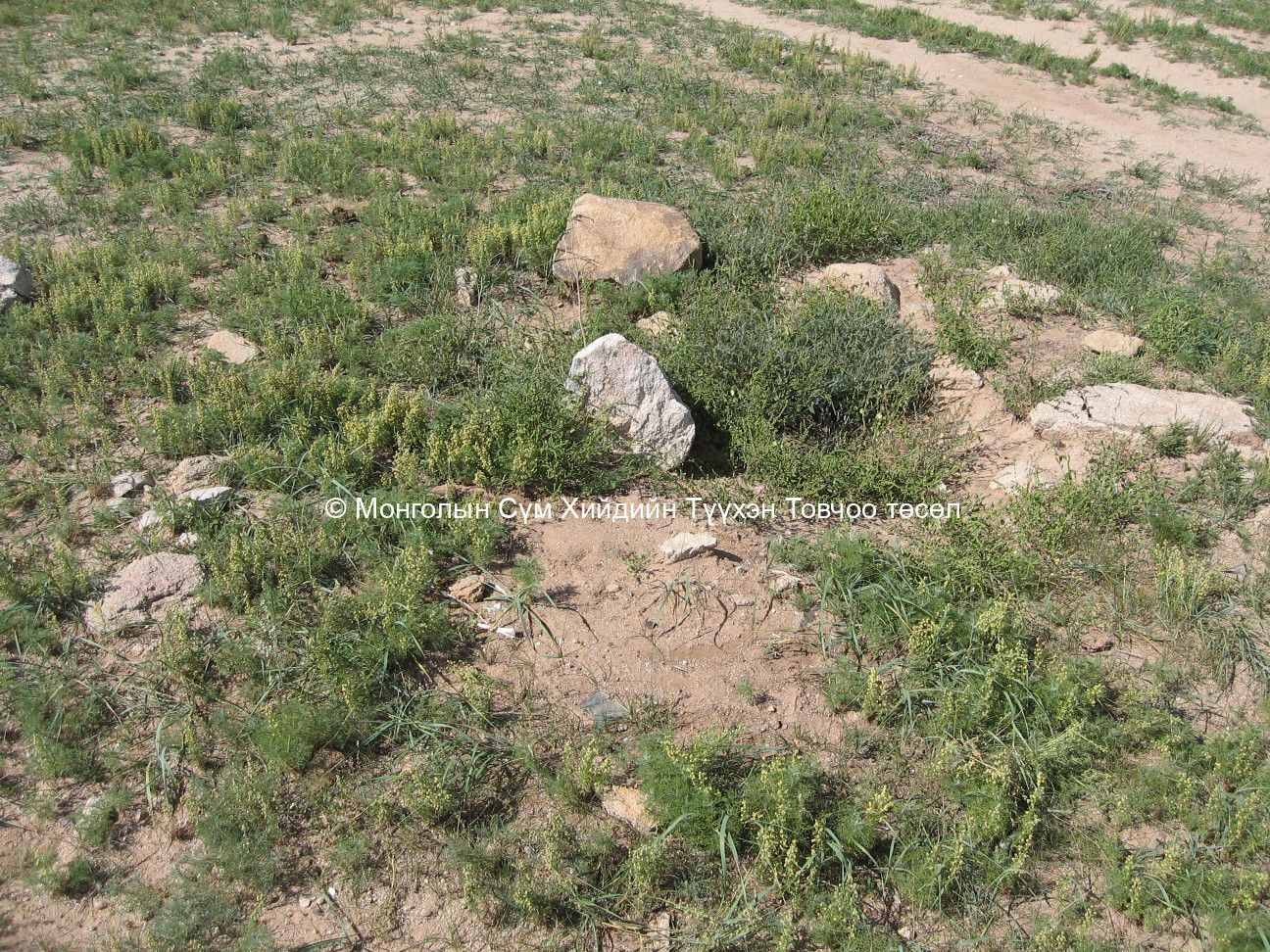 Гүн худгийн хийдийн өмнөх чийга модны суурь/2/ чул